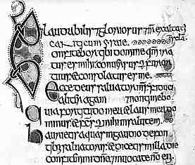 Irish psalter