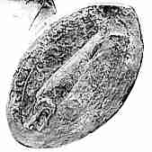 seal of Richard de Lucy